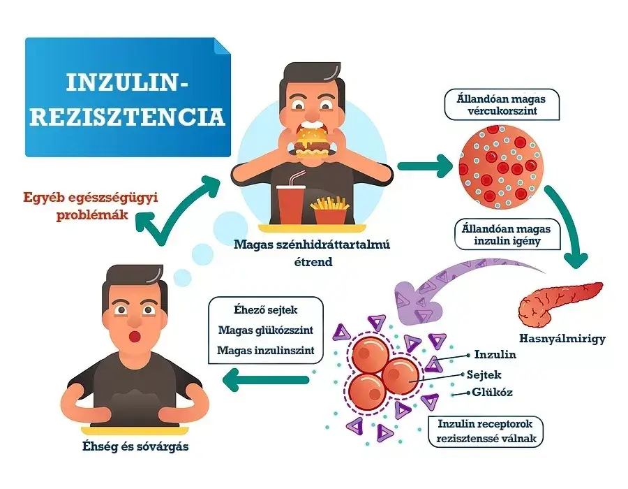 Inzulinrezisztencia