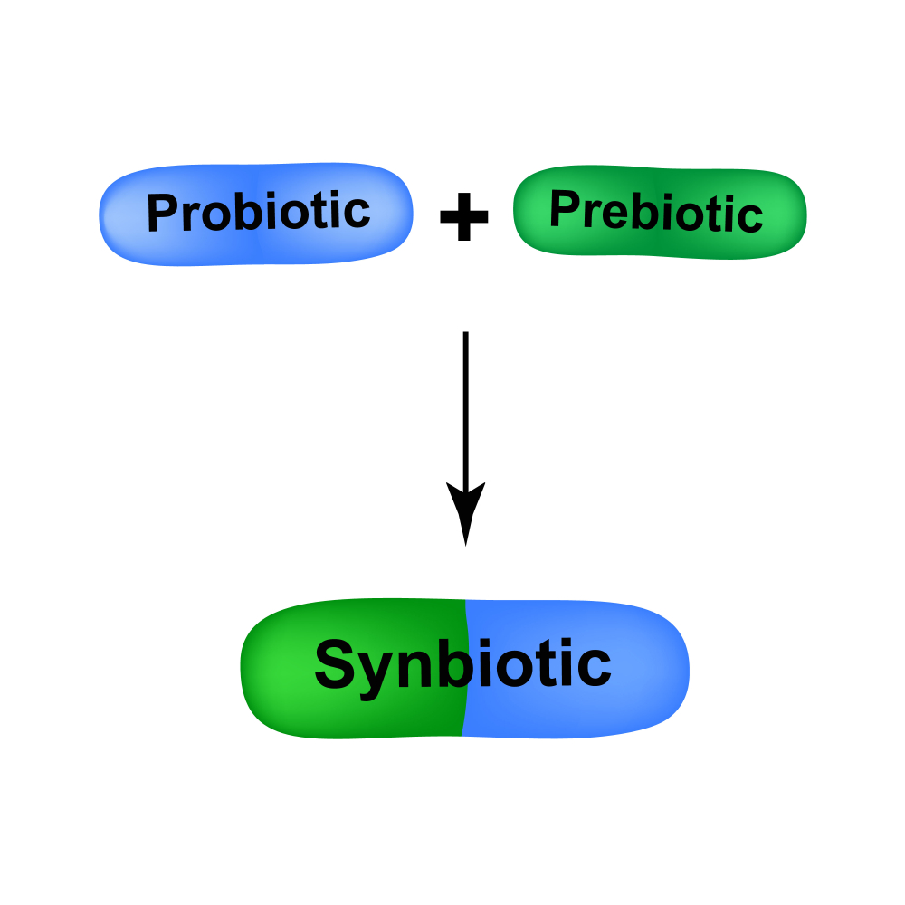 Szimbiotikum – Probiotikum felturbózva