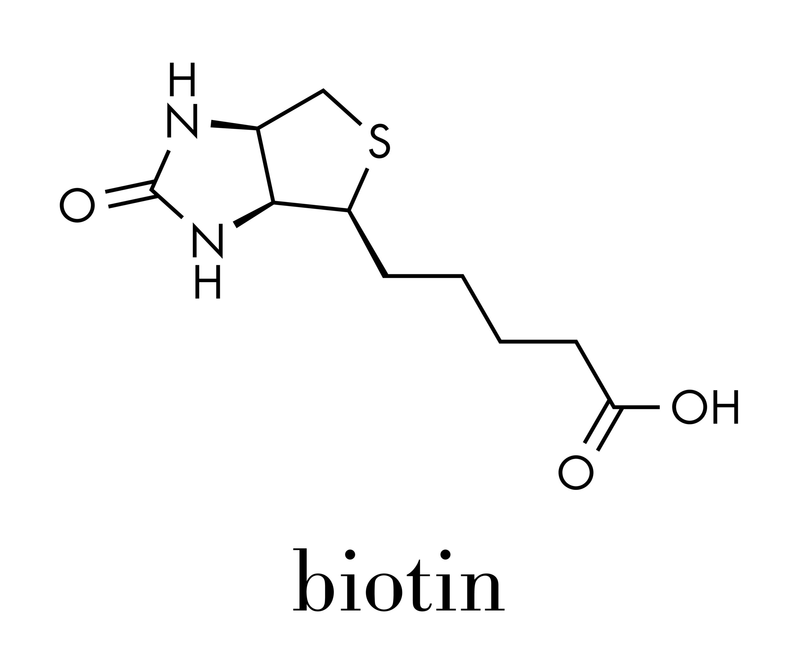 B7-vitamin