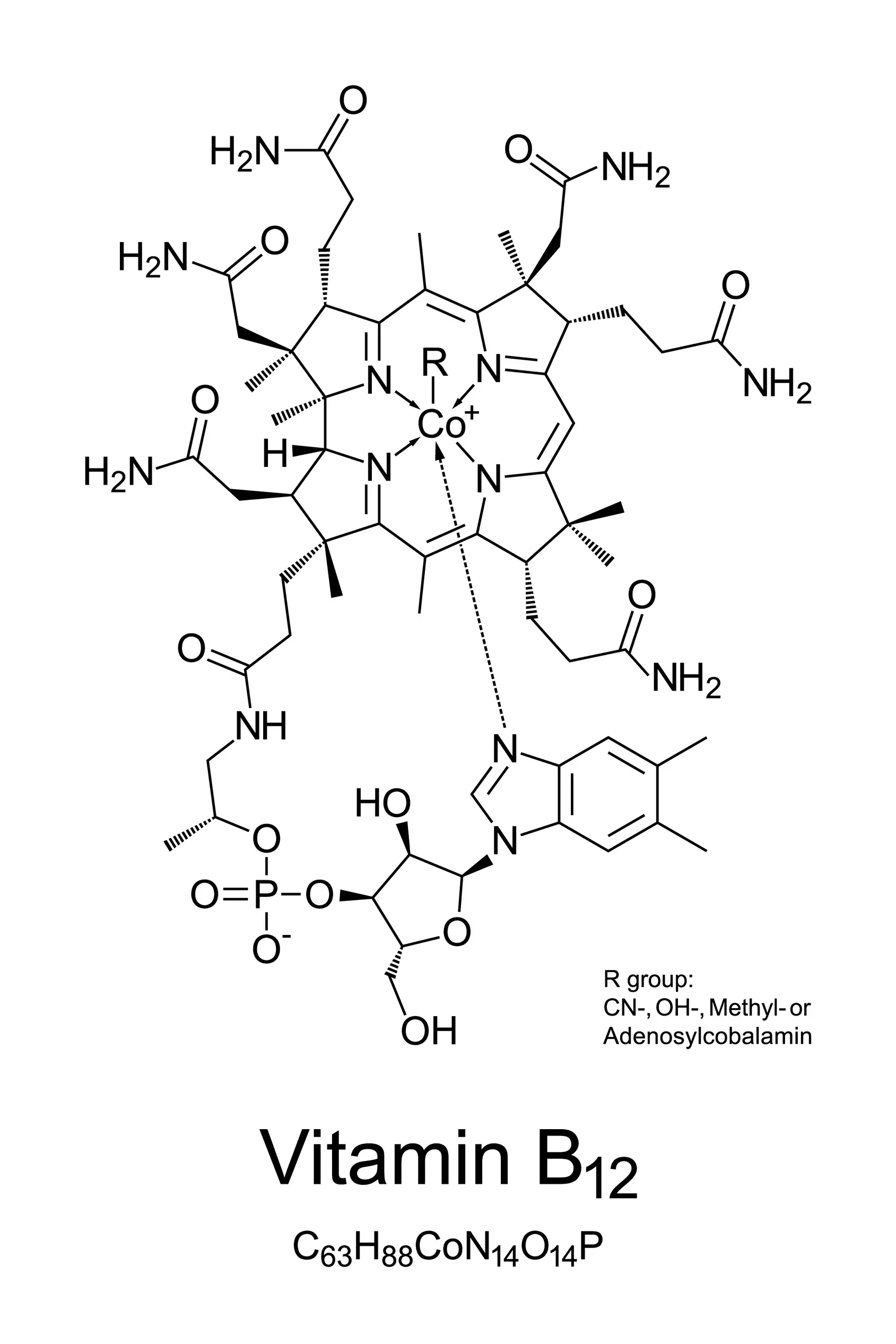 B12-vitamin