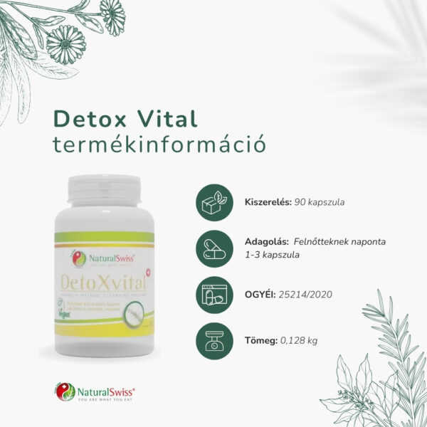 Detox Vital