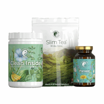 Clean Inside program