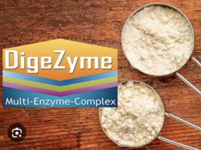 DigeZyme